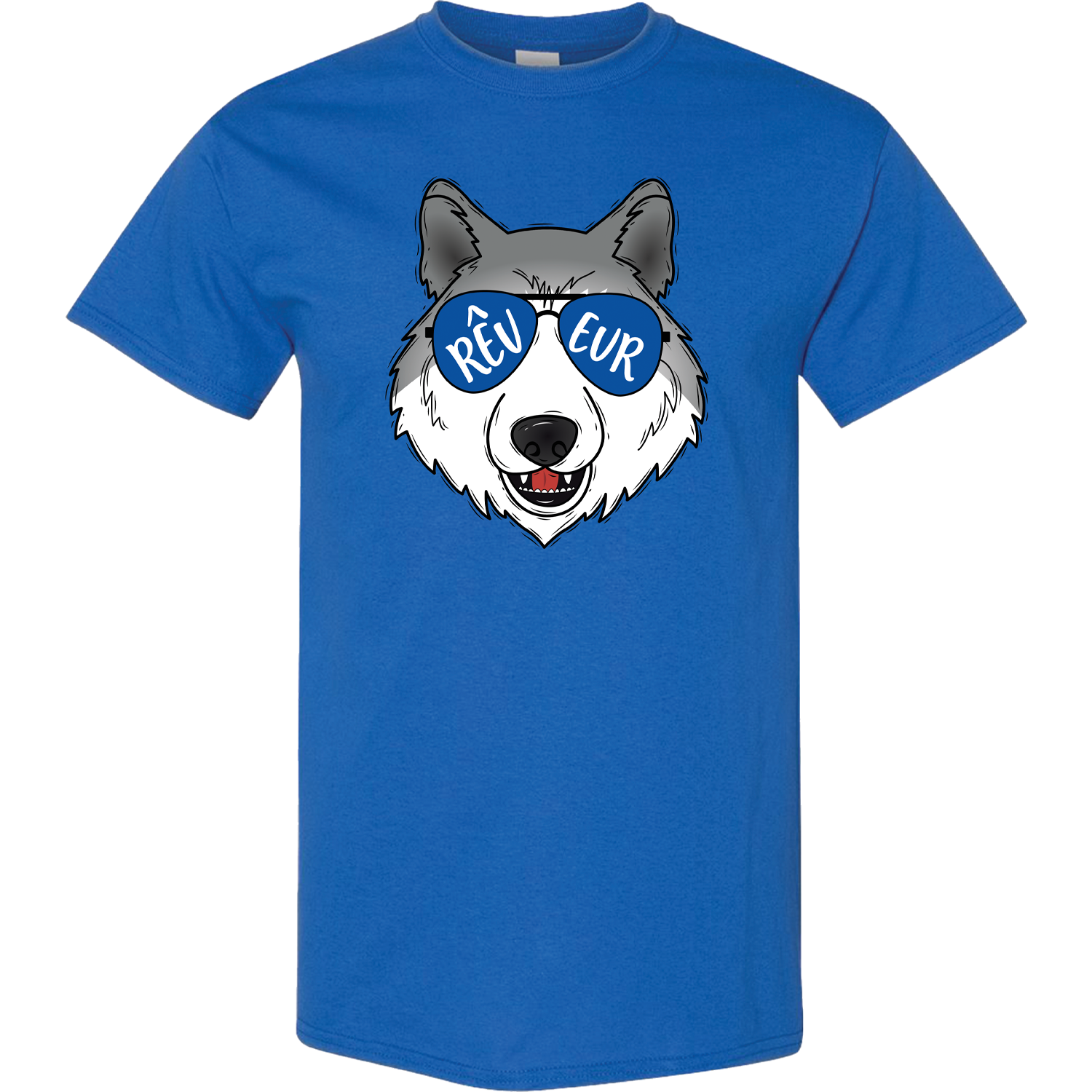 Acreage Pines Elementary - "Too Cool for School" House YOUTH Tee